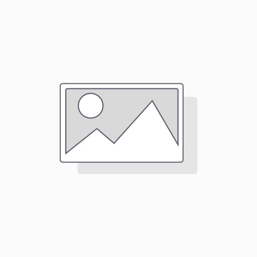 Shark HD334EU SpeedStyle Haartrockner mit 3 Aufsätzen – Neu